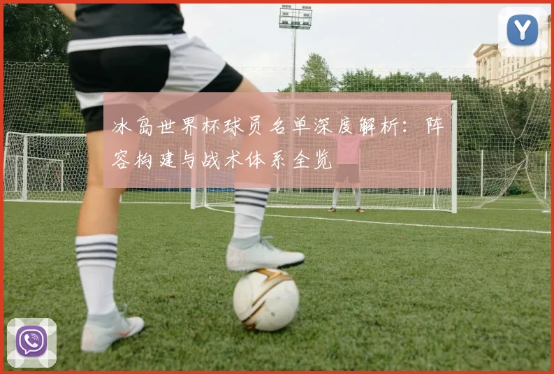 冰岛世界杯球员名单深度解析：阵容构建与战术体系全览